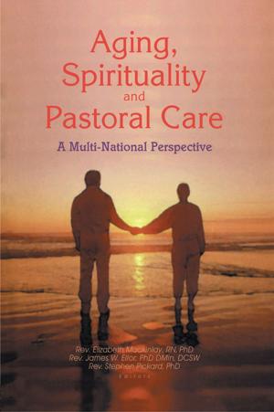 bigCover of the book Aging, Spirituality, and Pastoral Care by 