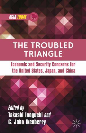 Cover of the book The Troubled Triangle by R. Bahramitash