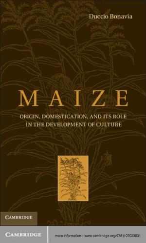 Cover of the book Maize by Arpad Szakolczai, Bjørn Thomassen