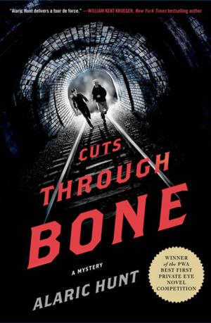 Cover of the book Cuts Through Bone by Robin Hathaway