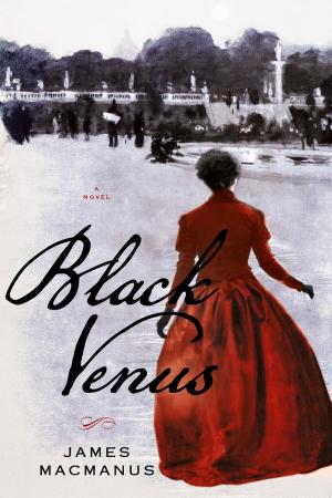 Cover of the book Black Venus by Dennis James Ganahl