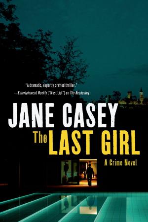 Cover of the book The Last Girl by Donna VanLiere
