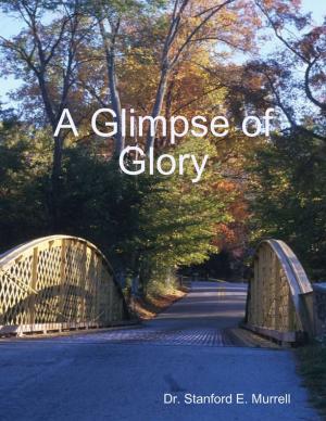 Cover of the book A Glimpse of Glory by Vanessa Carvo