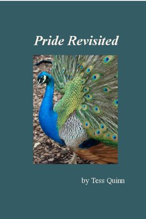 bigCover of the book Pride Revisited by 