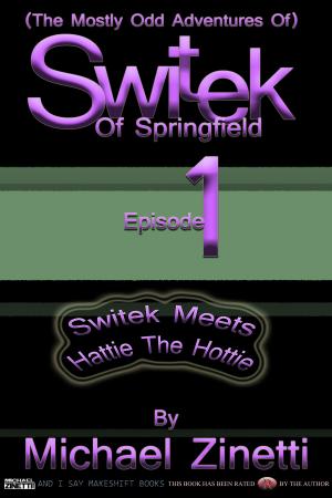 bigCover of the book Switek: Episode 1 by 