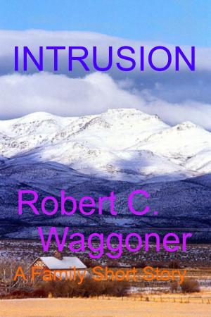 bigCover of the book Intrusion by 