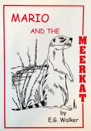 Book cover of Mario and the Meerkat