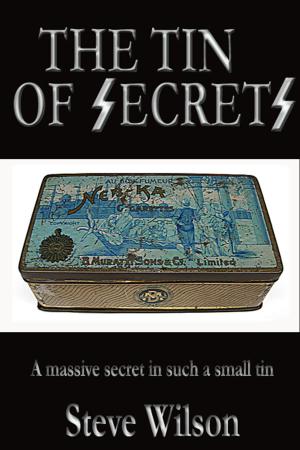 Cover of The Tin of Secrets