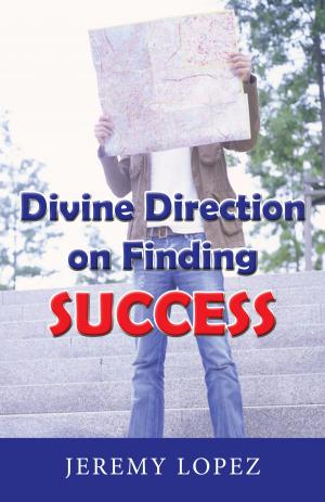 Book cover of Divine Direction On Finding Success