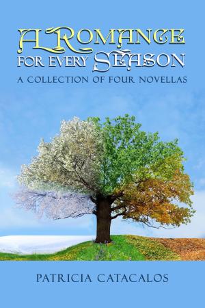 Book cover of A Romance for Every Season: A Collection of Four Novellas
