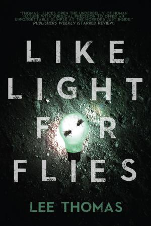 Cover of the book Like Light for Flies by Bogi Takács