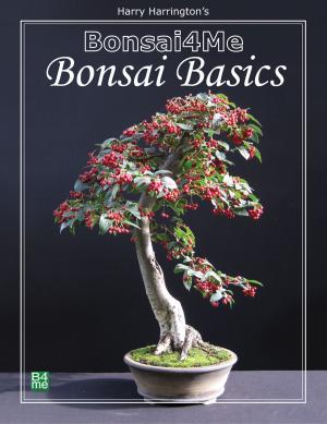 Cover of the book Bonsai4me: Bonsai Basics by Russ Chard