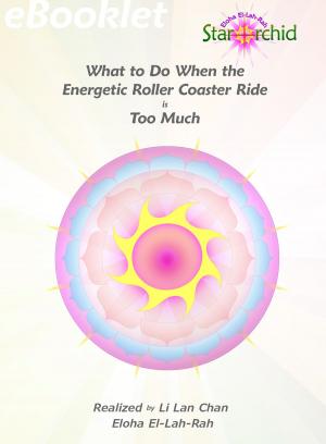 Cover of the book What to do when the Energetic Roller Coaster Ride is Too Much by Jimmy Pollard