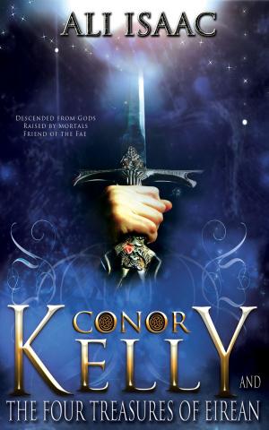 Book cover of Conor Kelly and The Four Treasures of Eirean