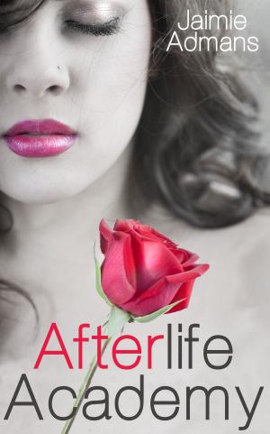 bigCover of the book Afterlife Academy by 