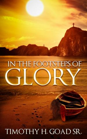 Cover of the book In The Footsteps Of Glory by Alfonso Gumucio-Dagron