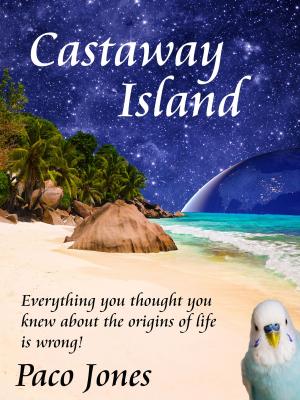 Cover of the book Castaway Island by Guy James