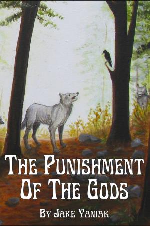 Cover of the book The Punishment of the Gods by A.H. Pexa