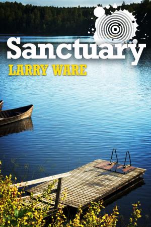 Cover of the book Sanctuary by Judith K. Ivie