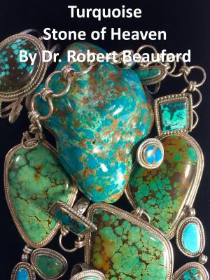 Cover of the book Turquoise Stone of Heaven by christopher legg