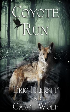 Cover of the book Coyote Run by Connor Goldsmith
