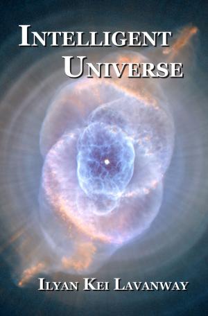Book cover of Intelligent Universe