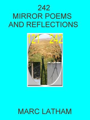 Book cover of 242 Mirror Poems and Reflections