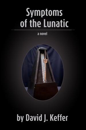 Book cover of Symptoms of the Lunatic
