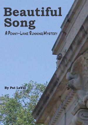 Cover of the book Beautiful Song by Adam Alexander Haviaras
