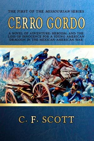 Cover of the book Cerro Gordo by Ruprecht Frieling