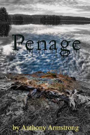 Cover of the book Penage by Joe Chiappetta