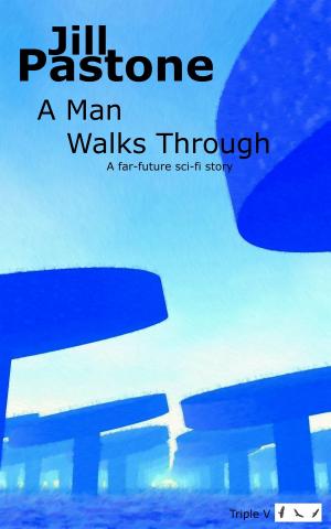 Cover of the book A Man Walks Through by Sean Monaghan