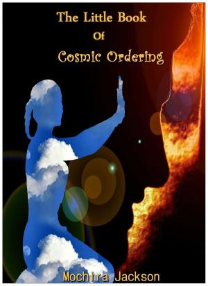 Cover of the book The Little Book of Cosmic Ordering by Chris Sonksen