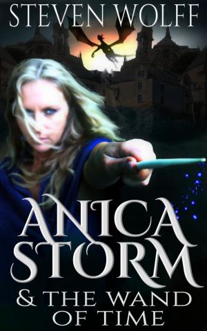 Cover of the book Anica Storm & The Wand Of Time by Anna Solowiow