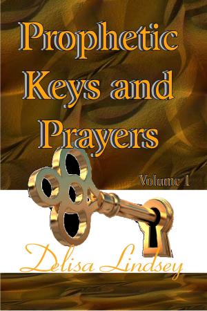 Cover of the book Prophetic Keys and Prayers by Israel Olusore