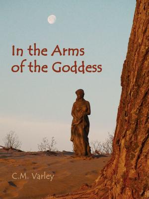 bigCover of the book In the Arms of the Goddess by 