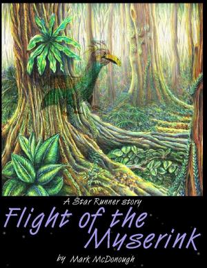 Book cover of Flight of the Myserink: A Star Runner Story