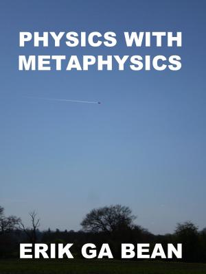 Book cover of Physics With Metaphysics