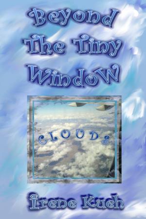 bigCover of the book Beyond The Tiny Window: Clouds by 