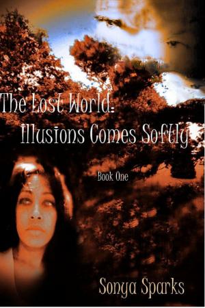 Cover of the book The Lost World: Illusions Comes Softly by Daniel Murano