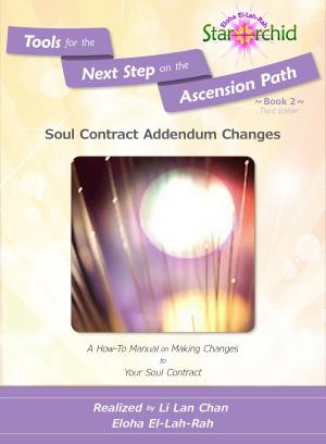 Cover of Soul Contract Addendum Changes: A How-To Manual on Making Changes to Your Soul Contract [Tools for the Next Step on the Ascension Path – Book 2]