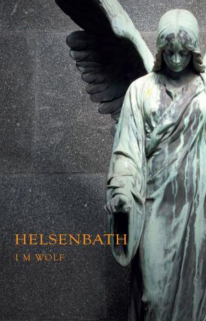 Cover of the book Helsenbath by Anne deNize