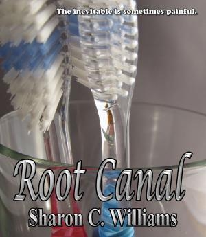 Cover of the book Root Canal by Serena B. Miller