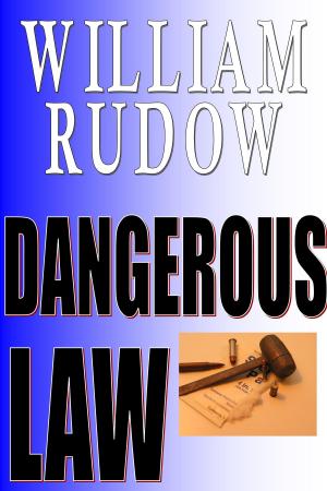 Cover of the book Dangerous Law by Jared Sande