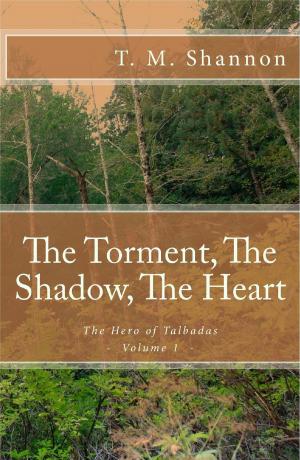 Cover of the book The Torment, The Shadow, The Heart (The Hero of Talbadas Vol. 1) by S.J. Drew