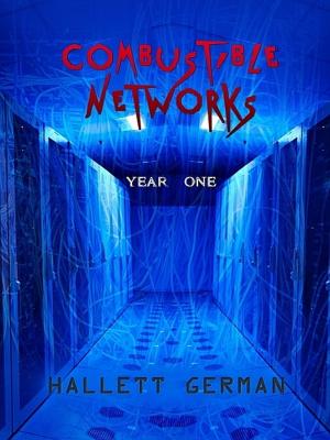 Cover of the book Combustible Networks: Year One by Sinclair Macleod