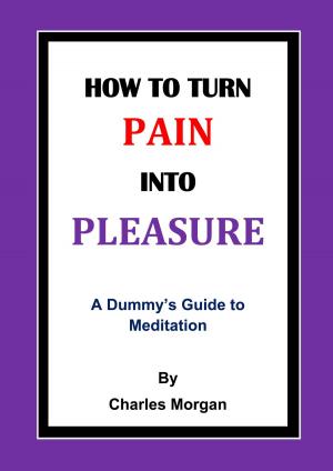 Book cover of How To Turn Pain Into Pleasure