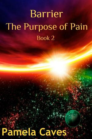 Cover of the book Barrier: The Purpose of Pain by Richard Marshall