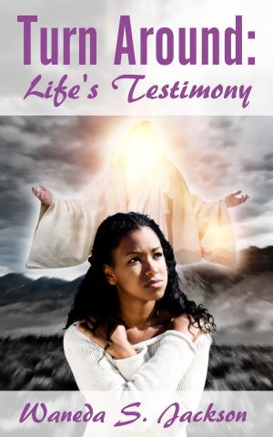 Book cover of Turn Around: Life's Testimony