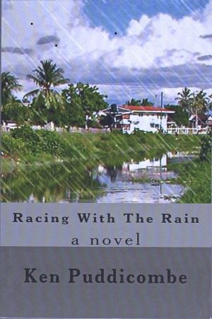 Cover of the book Racing With The Rain by Theodor Storm